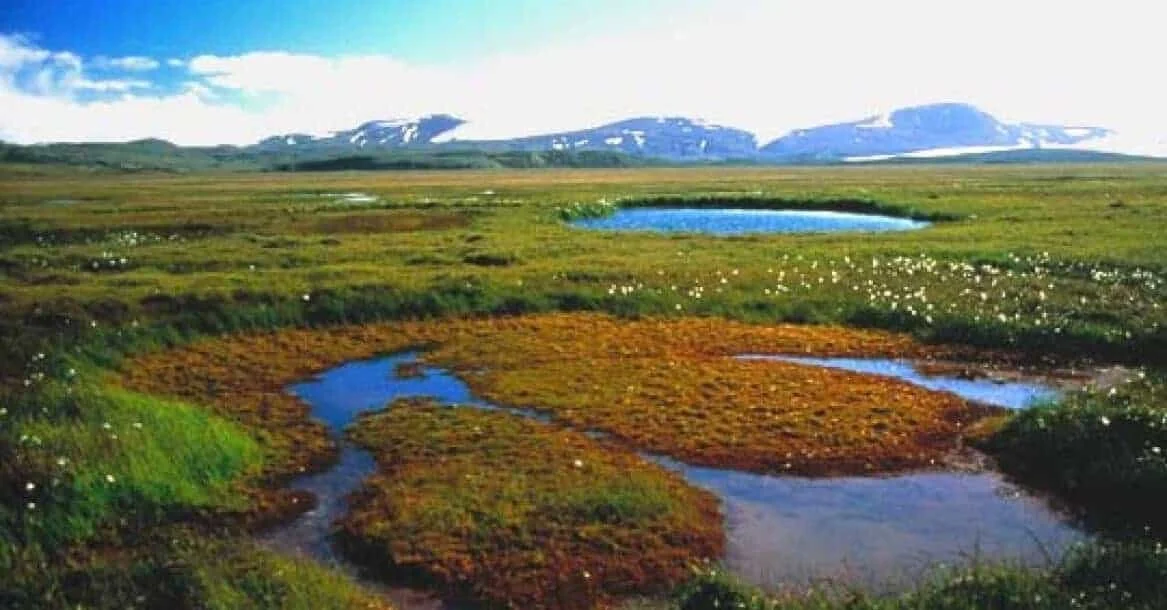 Eyjabakkar