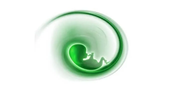 abortion-2