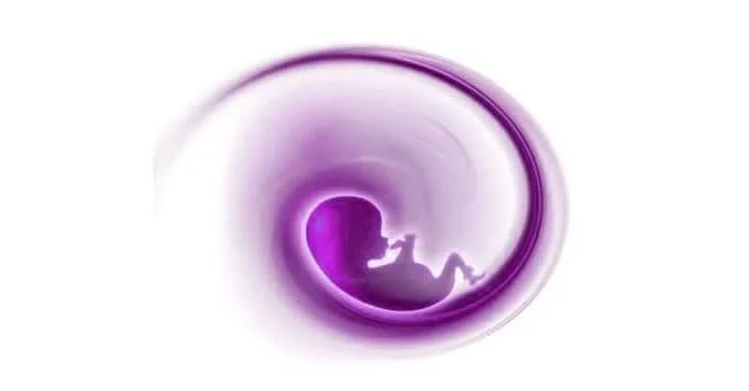 abortion-4