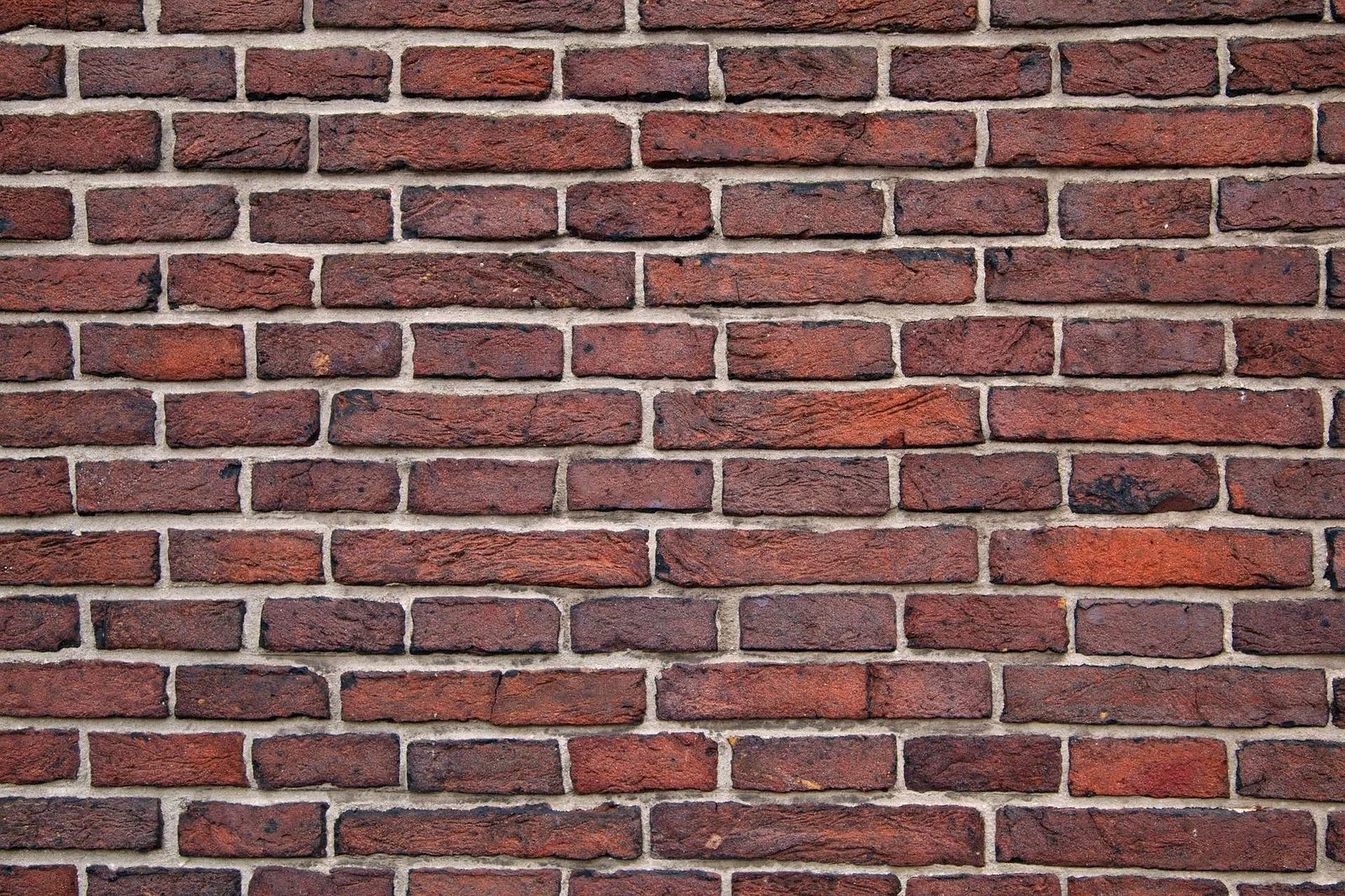 backdrop-21534_1920