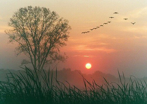 dawn