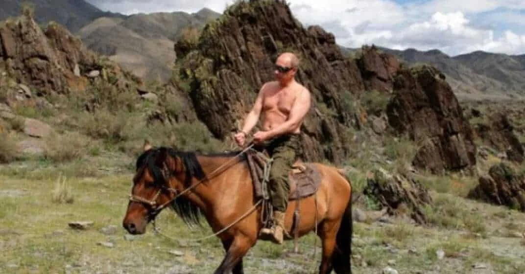 putin-hestur