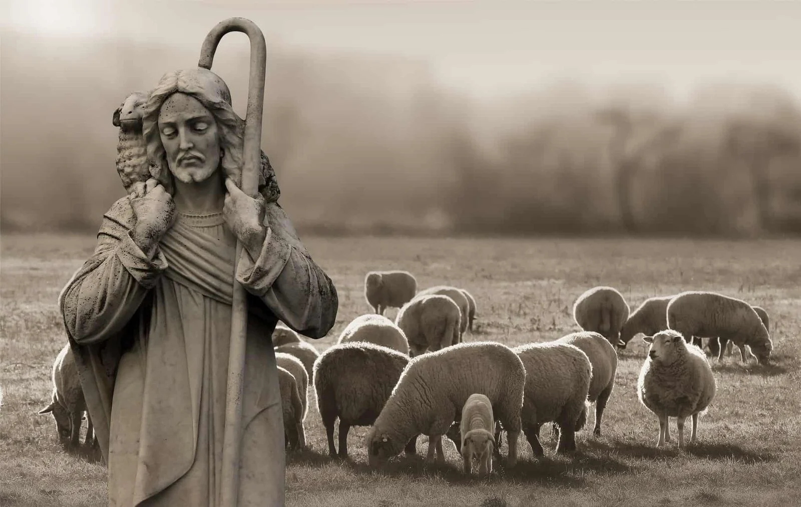 religion-3450127_1920